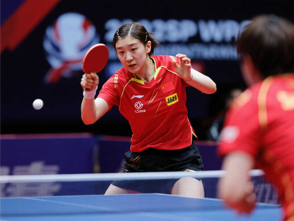 的意大利杯 的意大利杯