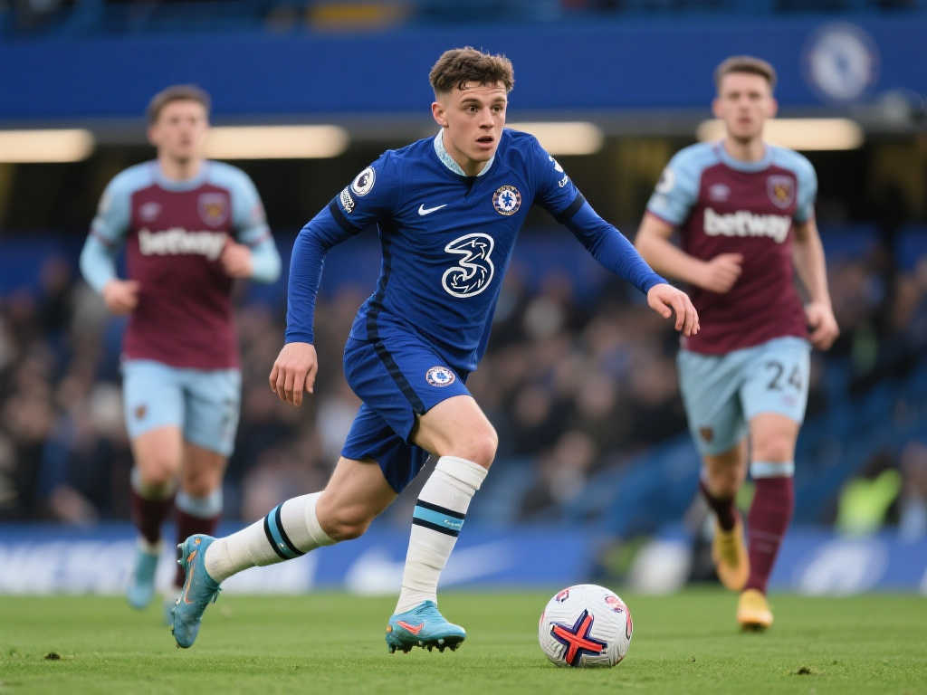 法蒂的场上 法蒂的场上