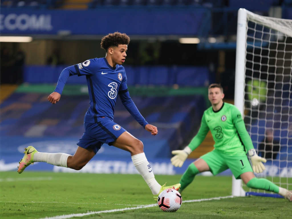 的青训联盟 的青训联盟