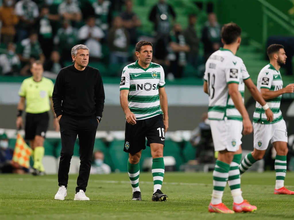 球迷们的广 球迷们的广